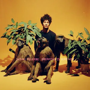 Dreaming is dead now